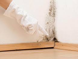 Best Asbestos and Lead Testing During Mold Inspection  in Ames, TX